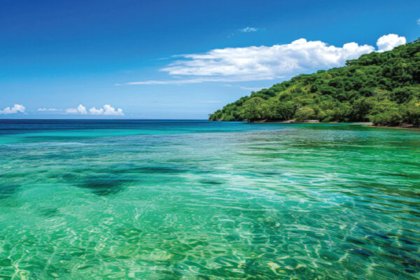 Earth’s Green Oceans