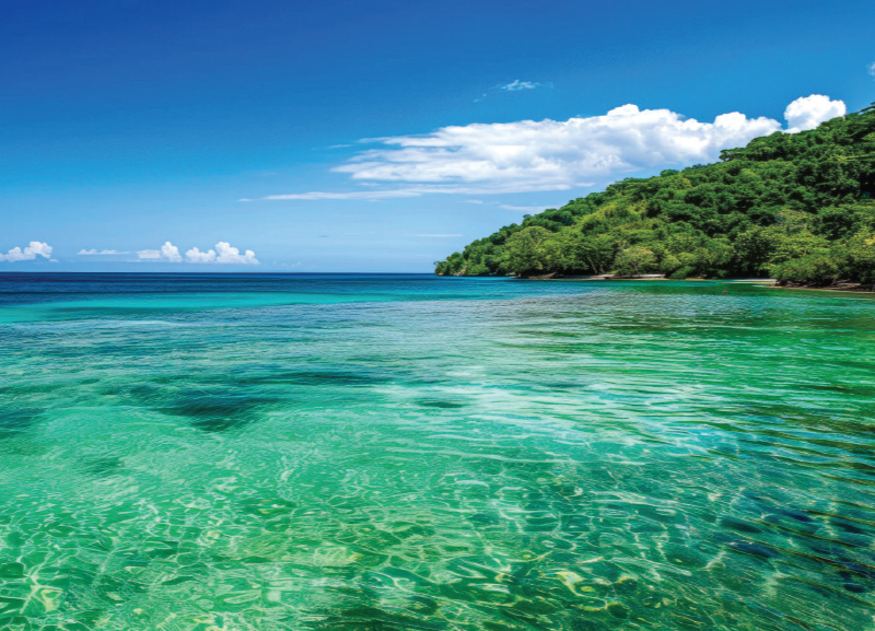 Earth’s Green Oceans
