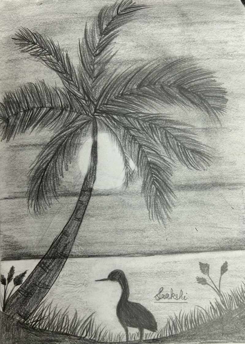 Sunset on the Beach