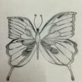 Butterflies in Black and White
