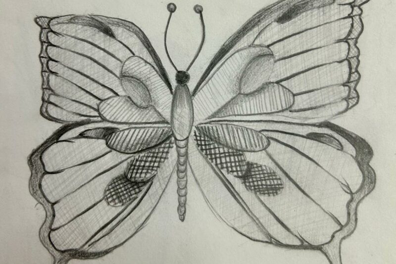Butterflies in black and white robinage