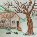 A House in the Woods