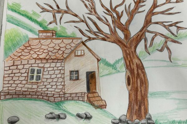 A House in the Woods