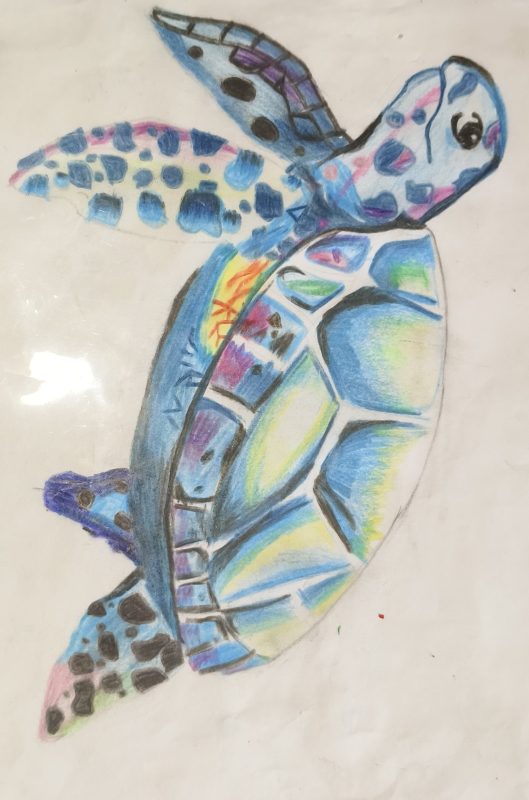 Turtle