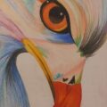 My Lovely Eagle