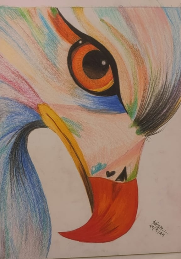 My Lovely Eagle