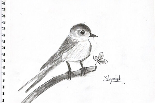Free Bird