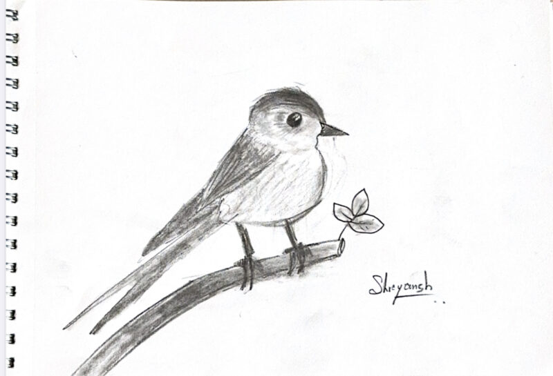 Free Bird