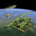 Monitoring Earth’s Forests 