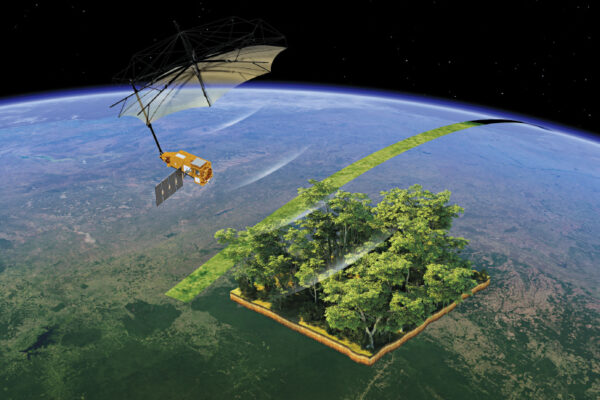 Monitoring Earth’s Forests 