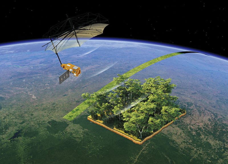 Monitoring Earth’s Forests 