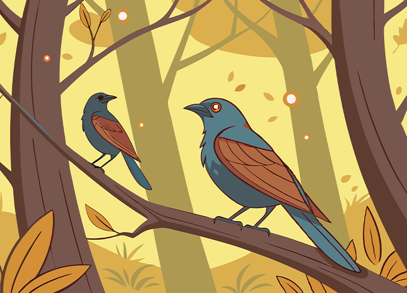 Night of the Animals through the Whispering Forest