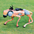 Robot Dog Introduced During IPL Broadcast