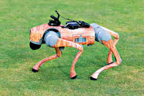 Robot Dog Introduced During IPL Broadcast