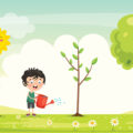 Seeds Become Trees