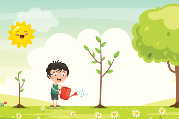 Seeds Become Trees