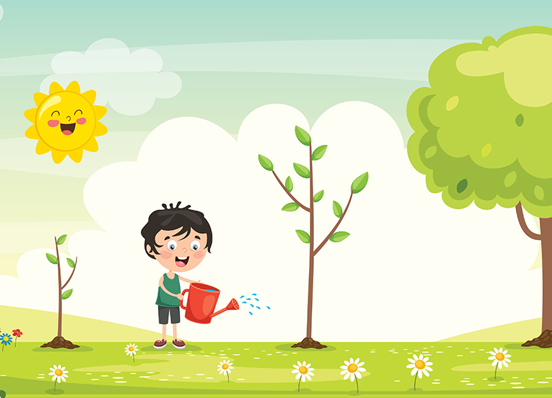 Seeds Become Trees