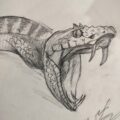 Venomous Snake