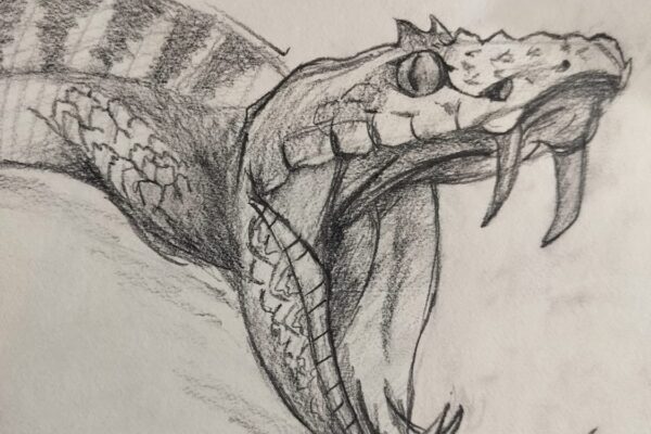 Venomous Snake