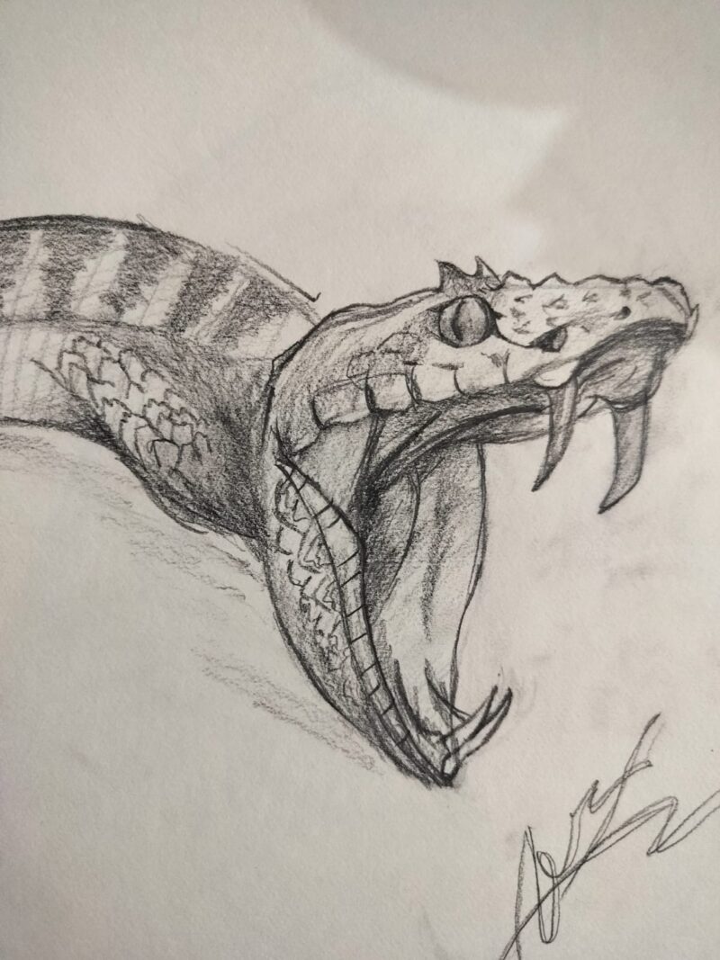 Venomous Snake