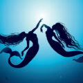A Meet with a Mermaid