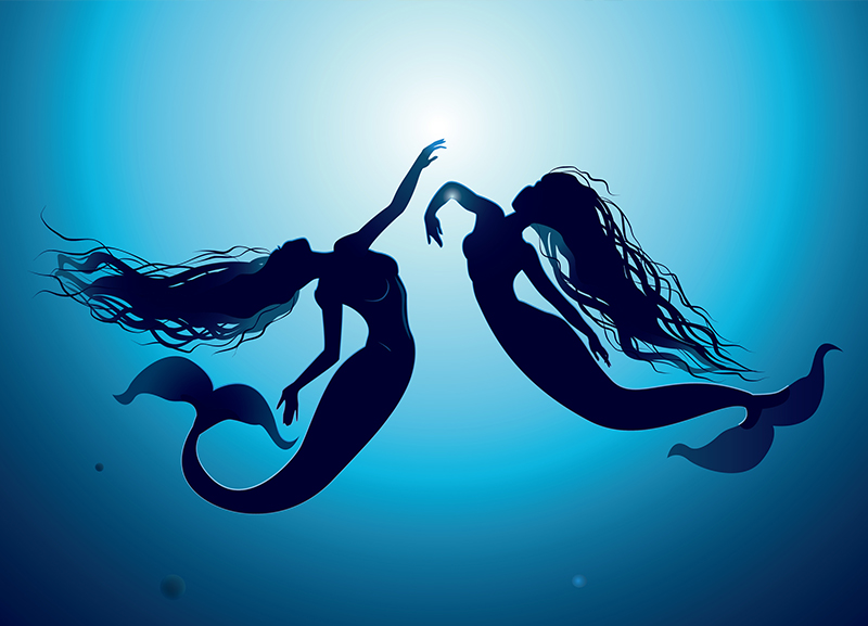 A Meet with a Mermaid