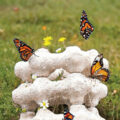 Eco-friendly Butterfly Nest