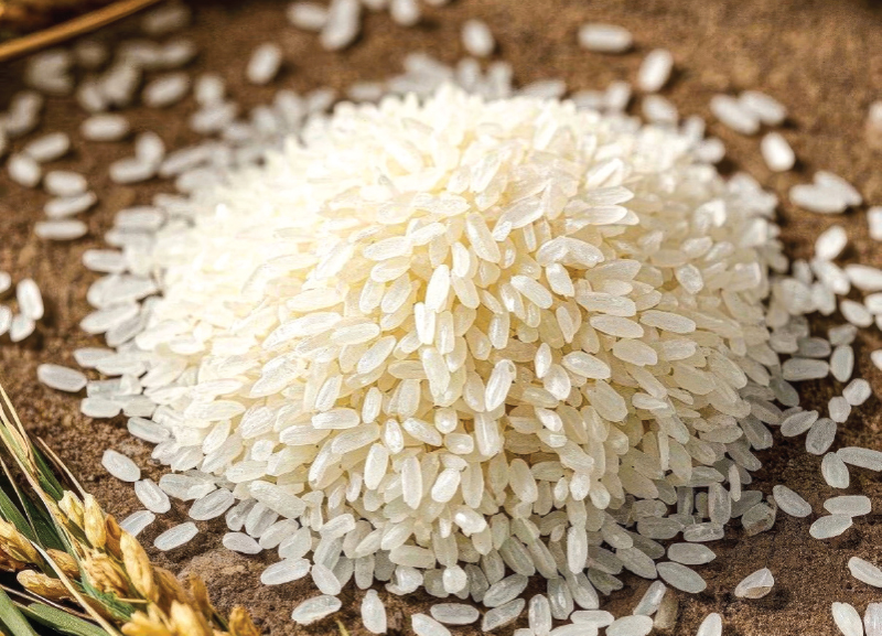 Foods That Were Used as Money