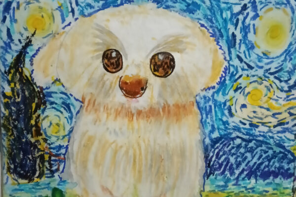 The Dog Who Brought a Thousand Smiles
