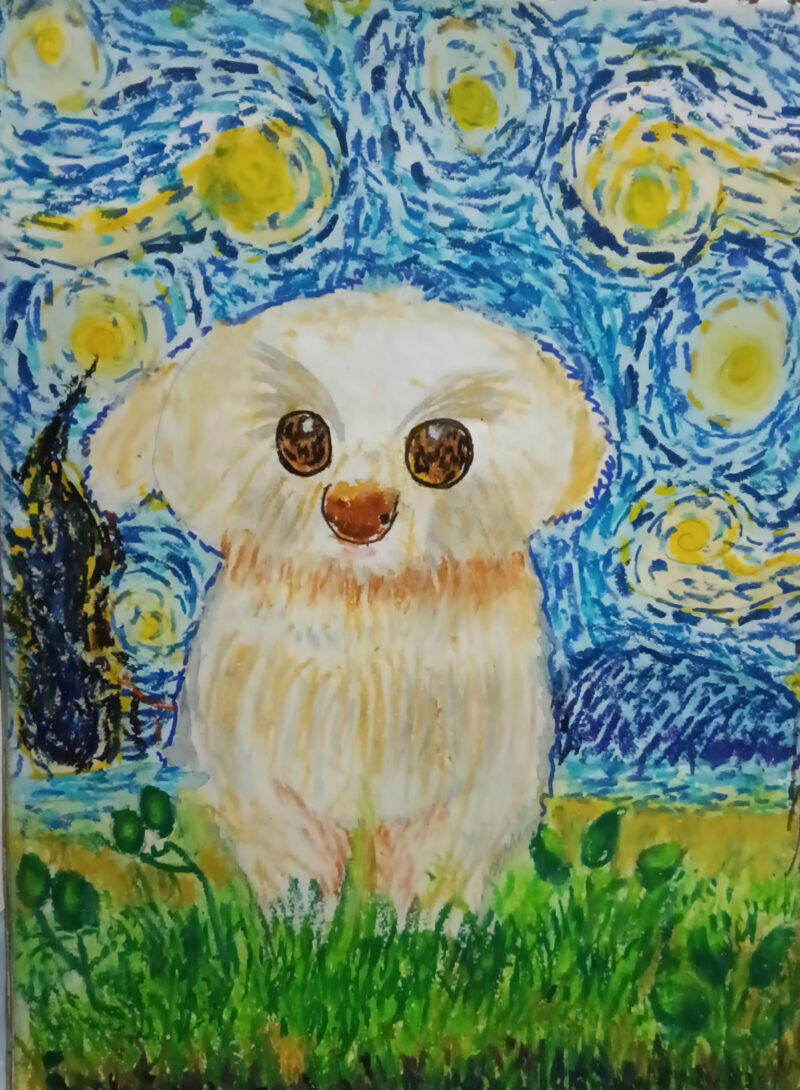 The Dog Who Brought a Thousand Smiles