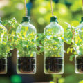 5 Ways in Which Plastic Can Be Recycled
