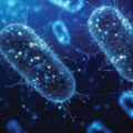 Bacteria That Produce Electricity