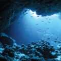Darkening of Oceans 