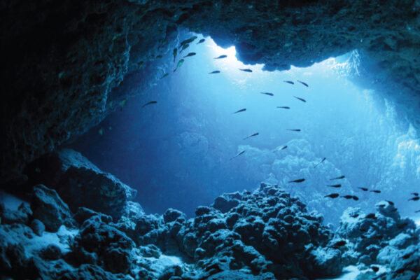 Darkening of Oceans 