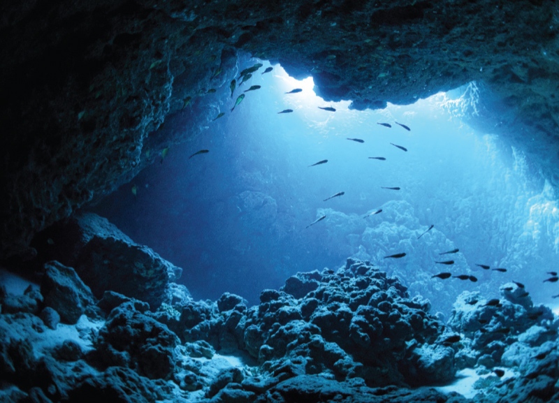Darkening of Oceans