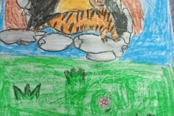 Tiger Shelter