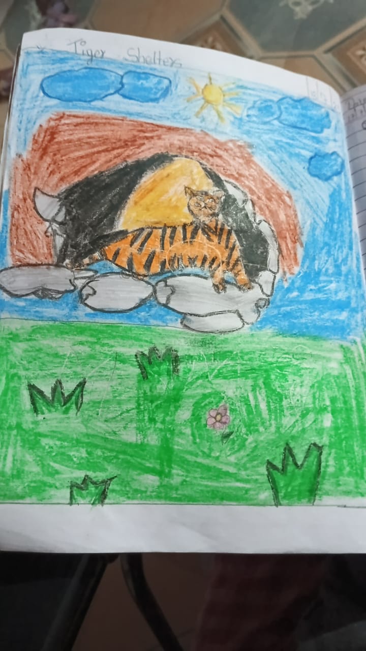 Tiger Shelter