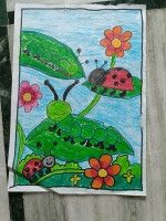 Ladybug and Ants