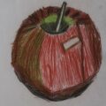 An Apple