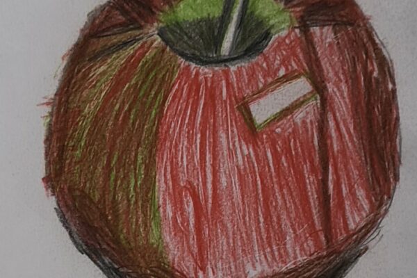 An Apple