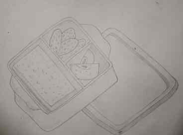 Tiffin Box