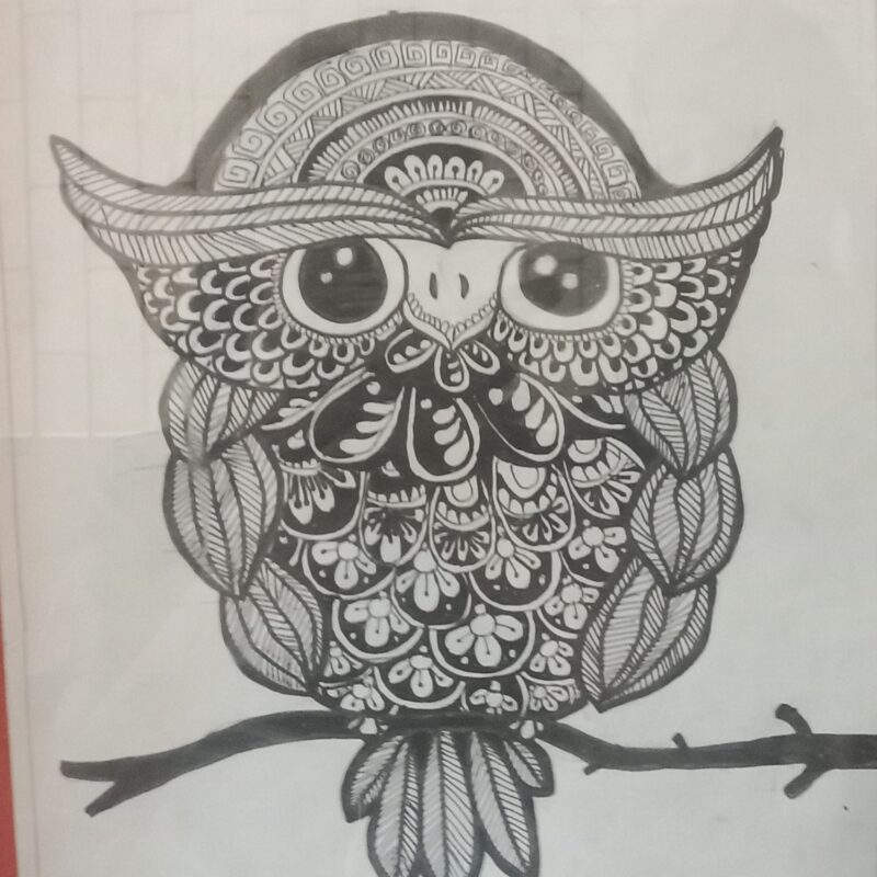 Owl Warli Art