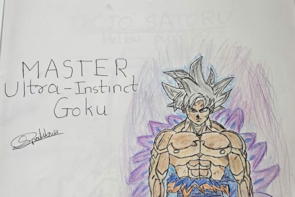 Goku Master Ultra Instinct
