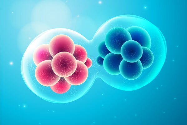 The First Cell vs Cell Theory