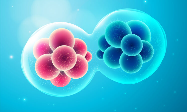 The First Cell vs Cell Theory