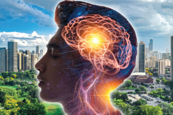 How Does the Brain Store Memories? 