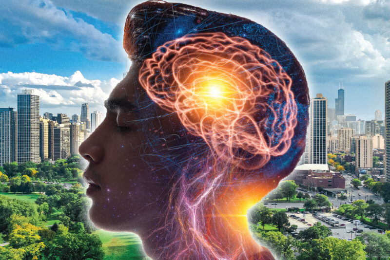 HOW DOES THE BRAIN STORE MEMORIES visual data 2