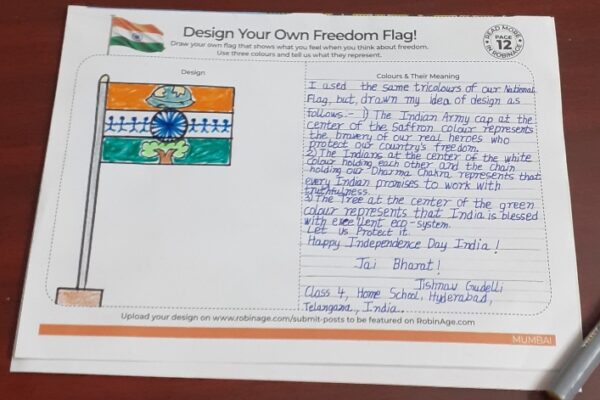Design Your Own Freedom Flag