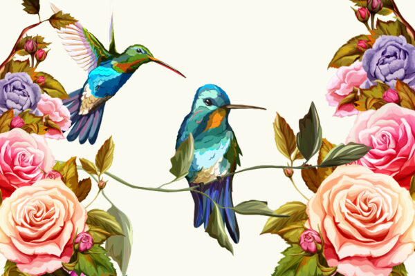 Humming Bird