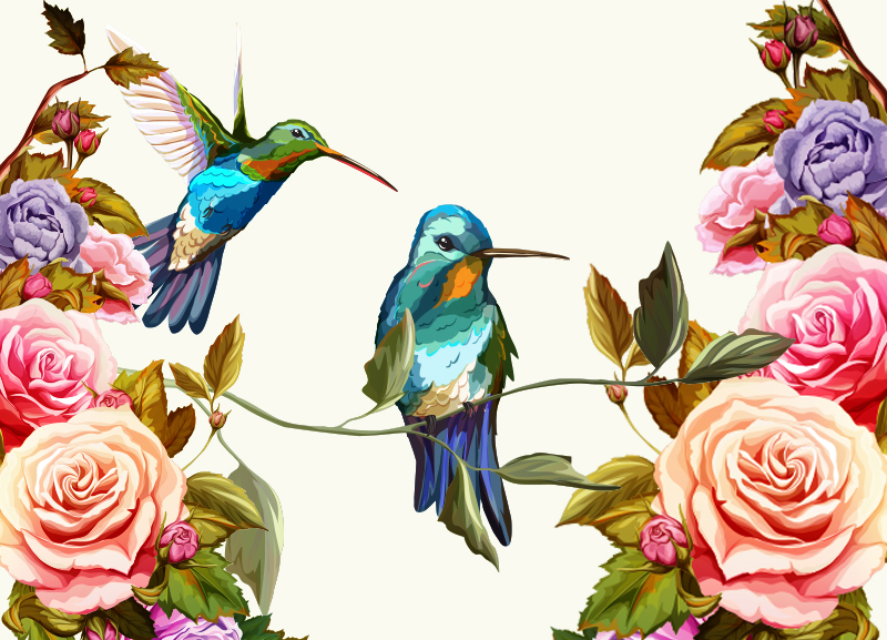 Humming Bird